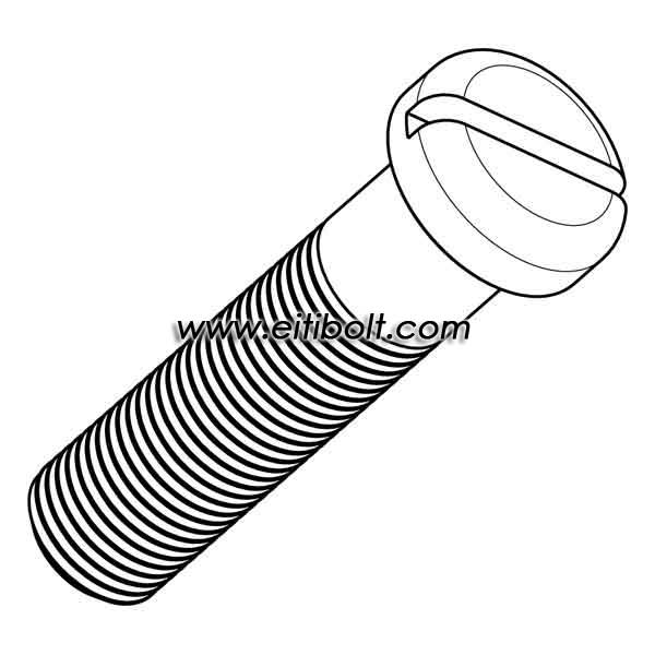 DIN85 Vis à tête cylindrique fendue en titane